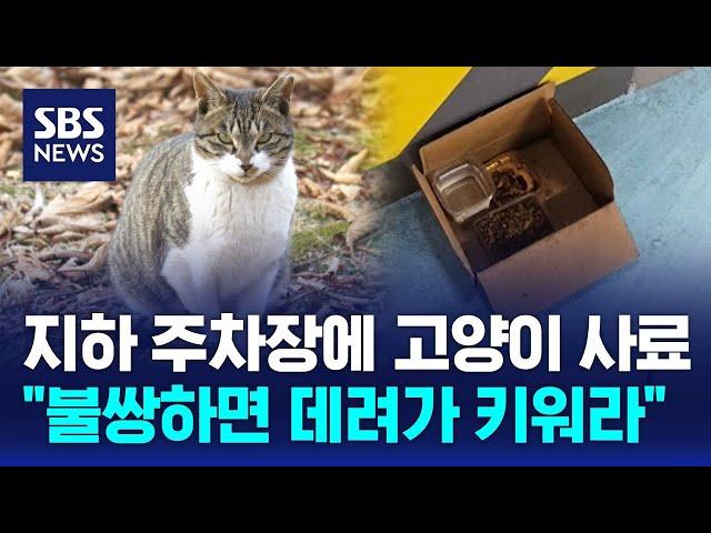 지하 주차장에 고양이 사료…"불쌍하면 데려가 키워라" / SBS / 오클릭