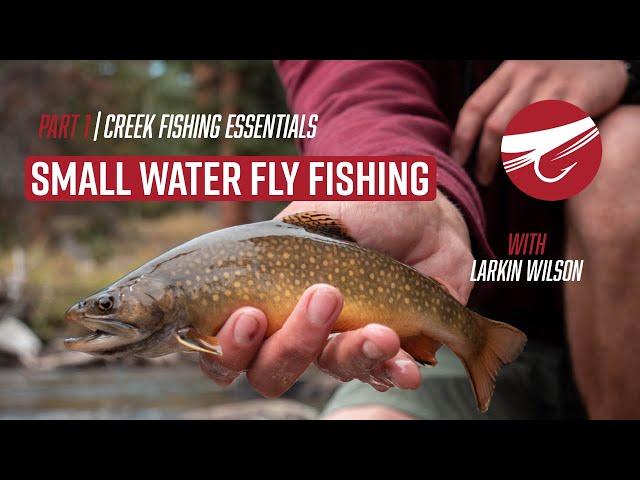 Creek Trout Fishing Essentials | SMALL WATER FLY FISHING