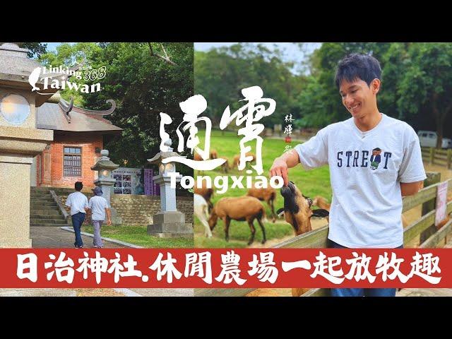 【苗栗通霄】EP24 part.1/4｜通霄頂點日露戰役望樓紀念碑登高望遠！台灣僅存日治時期通霄神社️飛牛牧場放牧趣 擠牛乳初體驗｜Linking368Taiwan