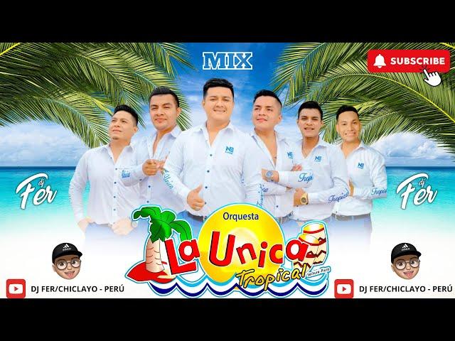 La Unica Tropical Mix (Partido En Dos, Si Esta Casa Hablara, Te Burlaste De Mi, Mas) Dj Fer.