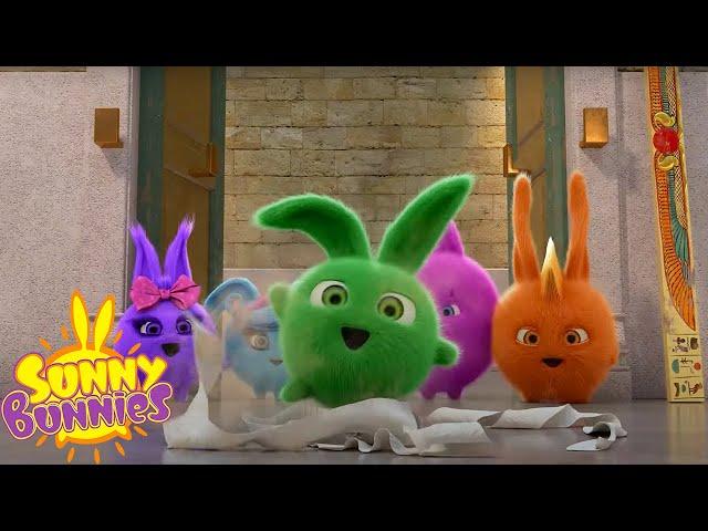 SUNNY BUNNIES - MUMMY BUNNY | Season 6 Compilation | Cartoons for Kids