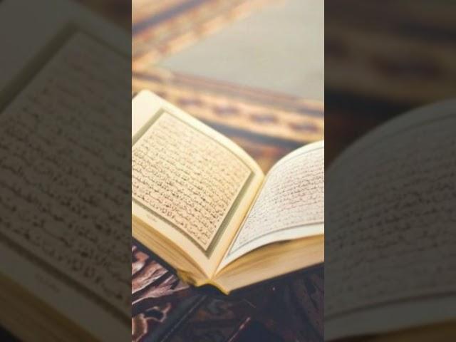 معاني قرآنية (٣)