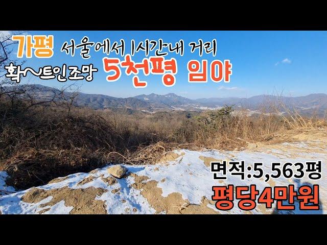 (매매완료)[매물번호121]가평 확~트인 조망 5천평대 임야/서울에서 1시간내 거리 /평당4만원/수목갱신신청후 대추나무 식재된 상태/자연인,유실수,특용작물 임산물재배지로 활용