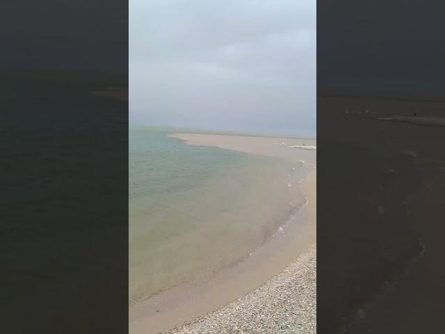 коса долгая#должанская#элита#серфинг#Ейск#азовское море