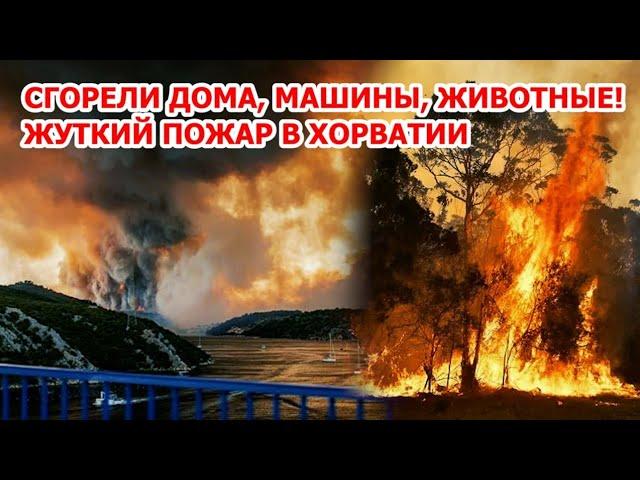 Туристы бегут от огня! Пожар выжигает Европу! В Хорватии горят курорты
