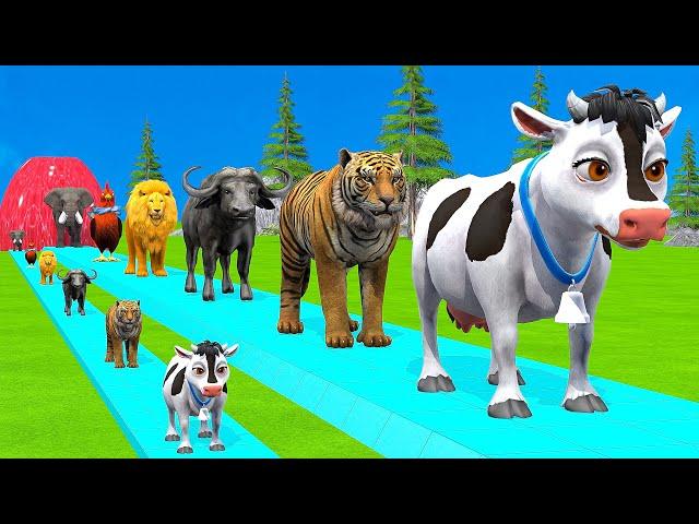 Paint & Animals Cow,Gorilla,Elephant,Giraffe,Tiger,Lion, Fountain Crossing Transformation Cartoon