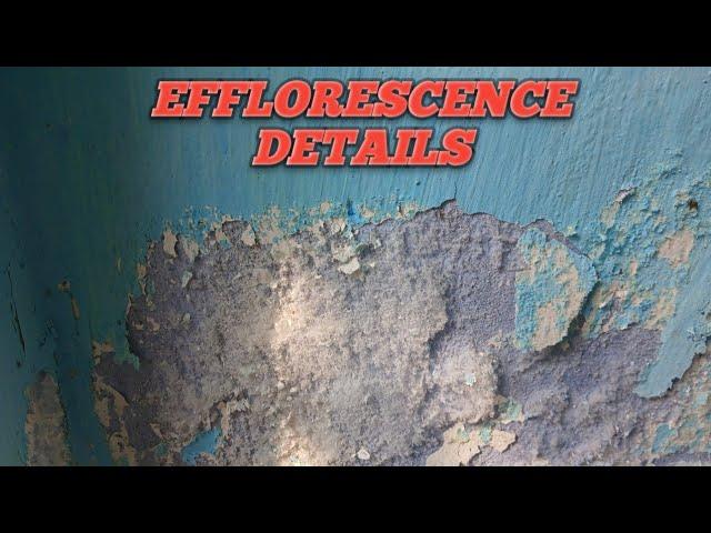 Efflorescence details