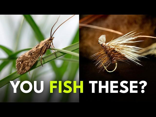 Master One of Fly Fishing’s Most Important Bugs | Ep. 128