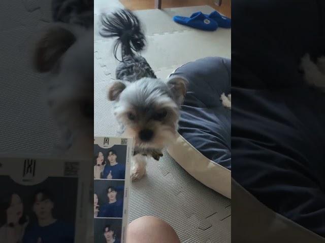 셔누랑 찍은 사진에 쉬 한 김은동 : )