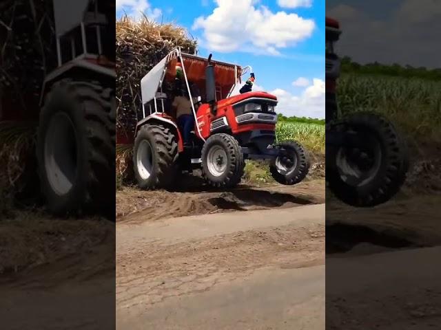 Mahindra Arjun Tractor heavy loaded sugarcane Trolley on Road entry STUNT ...