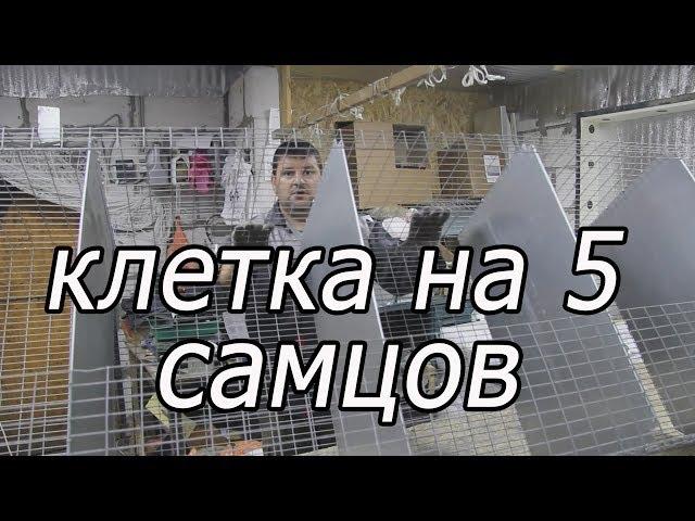 КАК СДЕЛАТЬ КЛЕТКУ ДЛЯ САМЦОВ, клетка из сетки.