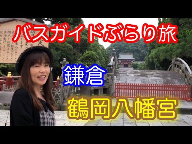 バスガイドぶらり旅  vol.18  鎌倉鶴岡八幡宮