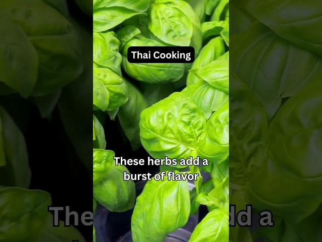 Facts About Thai Food - Basil & Cliantro