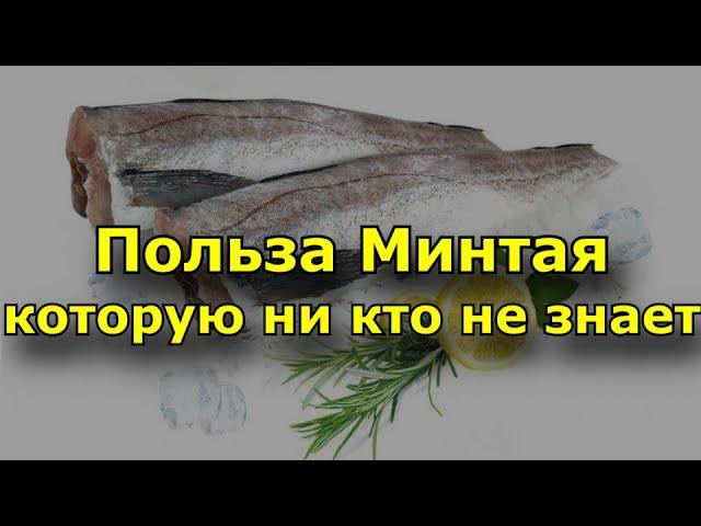 Польза Минтая Которую ни кто не знает. Состав и полезные свойства минтая