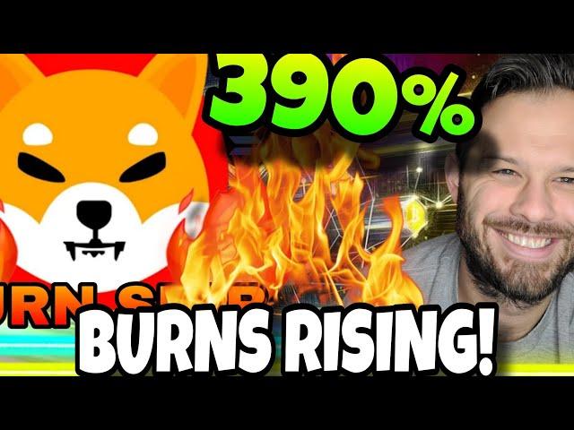 Shiba Inu Coin | 390% Increase In SHIB Burns Shows Us The Community Is Still Excited!