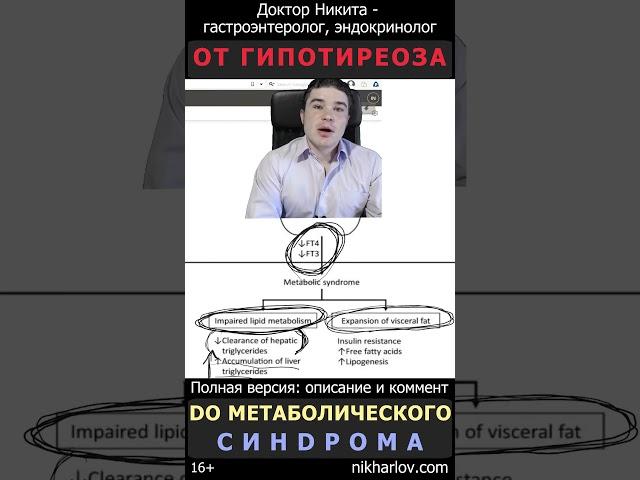 Гипотиреоз, Висцеральный жир, Снижение чувствительность к инсулину (инсулинорезистентность).