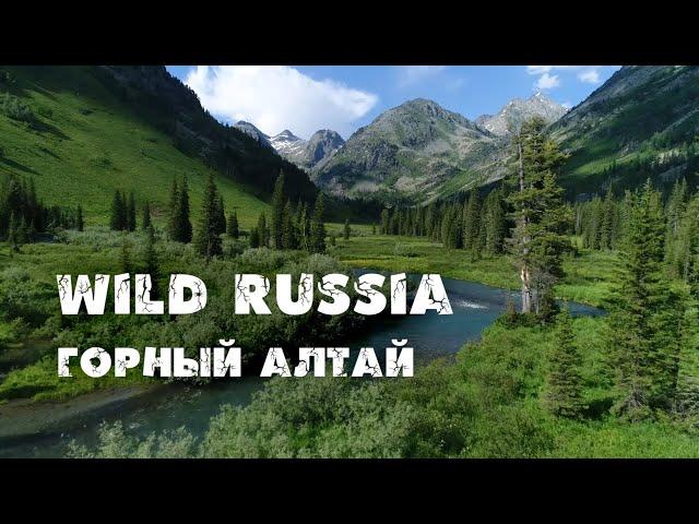 Siberia. Altai. Russia. Katunsky reserve. Golden root. Fish Grayling. Maral. Musk deer.