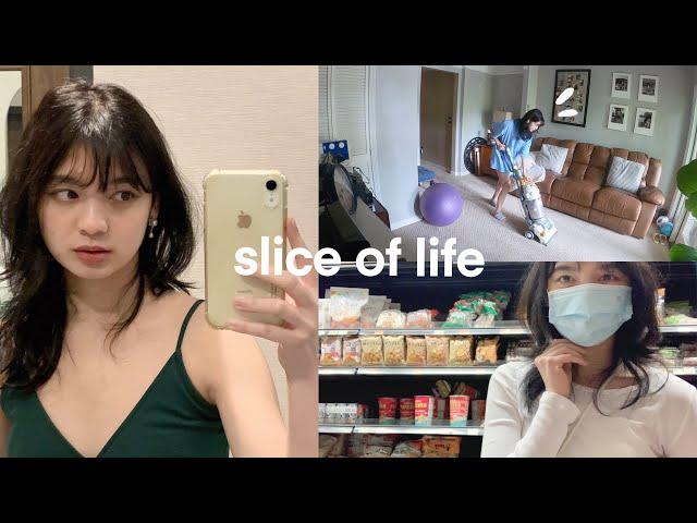 Slice of Life: Simple & Productive Week, Dying Hair, Grocery Shopping, New Camera, Cleaning, Trip