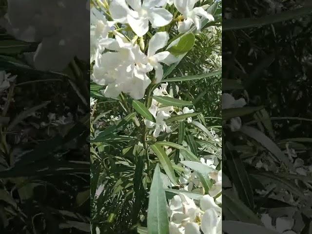 Отдых и отпуск.