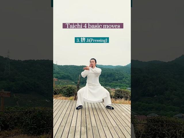 Taichi 4 basic moves