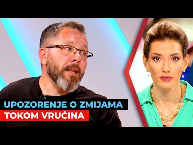 Upozorenje o zmijama tokom vrućina | Kristijan Ovari i Vladica Stanković | URANAK1