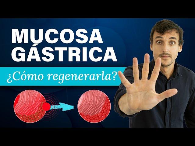 ¿CÓMO REGENERAR la MUCOSA GÁSTRICA?  (Método 3+2) RECUPERA tus DIGESTIONES