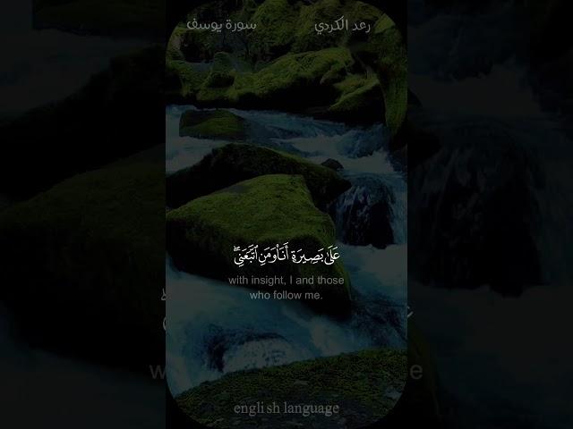 قل هذه سبيلي أدعو إلى الله على بصيرة - #رعد_الكردي #سورة_يوسف #حالة_واتس
