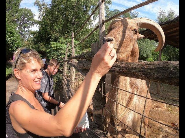 NOTRE VISITE DU ZOO D'AMNEVILLE 29 AOUT 2018