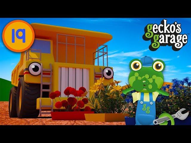 Gecko Has Giant Truck Trouble | Gecko's Garage | Trucks For Kids | Educational Videos For Toddlers