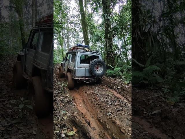 winching pake warn 8274 ditanjakan yg licin#4x4 #adventure #bandung #offroad #jimny4x4 #modifikasi