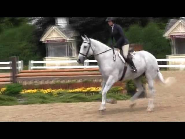 Video of ELEMENTARY MY DEAR WATSON ridden by CLAIRE MEYER from ShowNet!