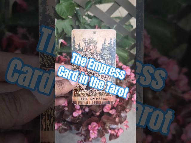 What Does the Empress Card Mean? #tarot