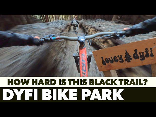 Dyfi Bike Park's Lovey Dyfi into Super Swooper Trail Review!