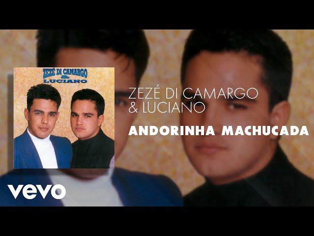 Zezé Di Camargo & Luciano - Andorinha Machucada (Áudio Oficial)