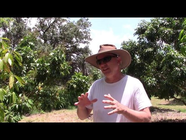 Amazing Fruit Farm Tour at Sulcata Grove -part 2 of 2