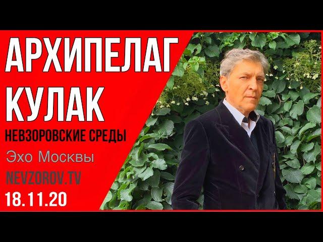 Невзоров. Невзоровские среды 18.11.20 .