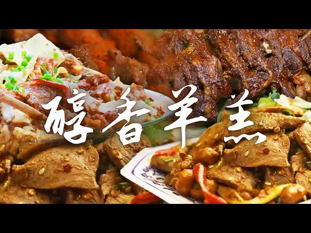 羊肉大揭秘 诱人羊肉美食的全方位介绍~羊肉这样做太好吃啦！| 腾讯视频 - 纪录片