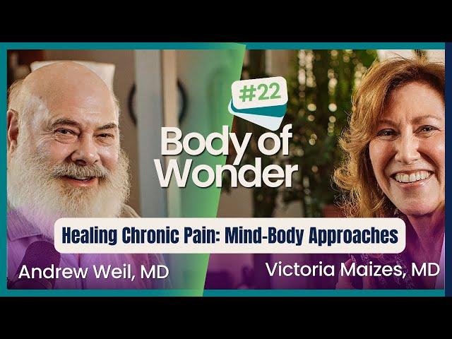 Body of Wonder - Mind-Body Approaches to Understanding & Healing Chronic Pain - Howard Schubiner, MD