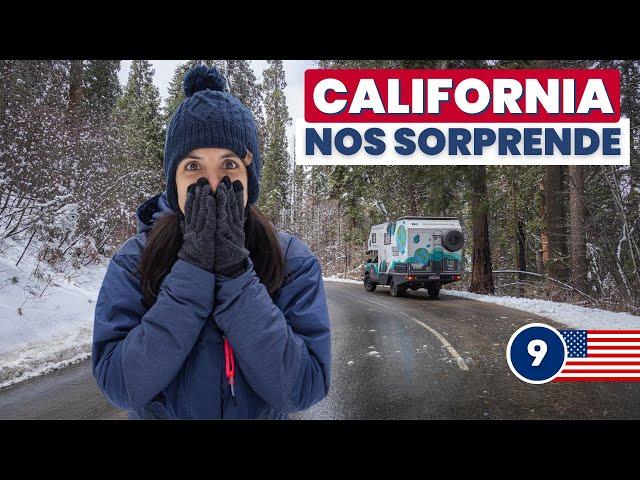  WE DON'T IMAGINE EXPERIENCE THIS when visiting Sequoia National Park  Ep.9 #California 