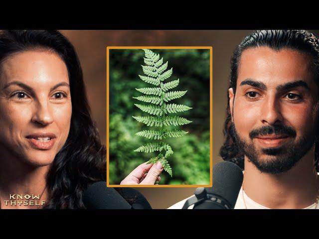 Are Plants Conscious? Here's What the Science Says | Annaka Harris