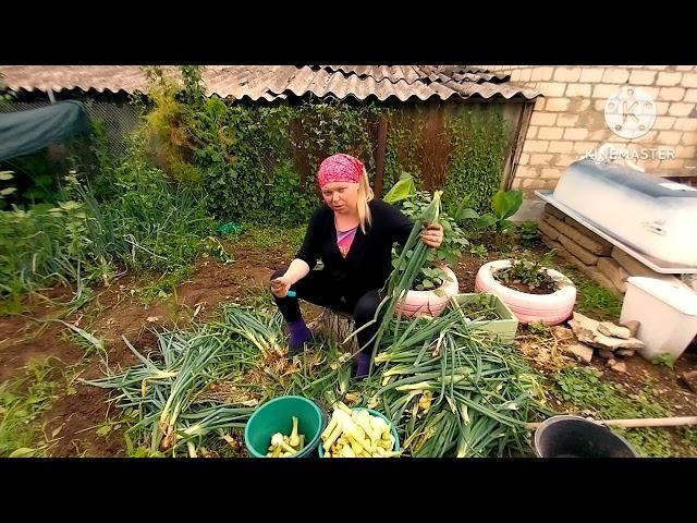 Двухсторонняя пневмония/жизнь в бреду/ничего не помню/отказалась от больницы