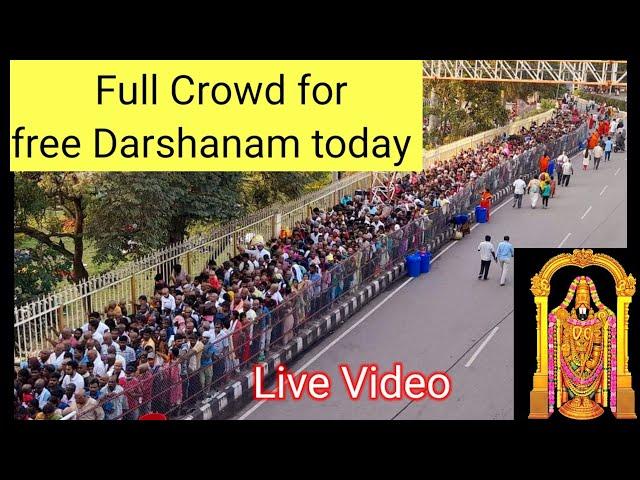 Tirumala Temple Live Video || Tirupati latest Updates today || Tirumala latest  Updates today || TTD