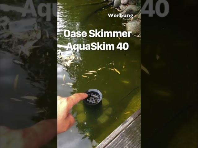 Werbung… Oberfläche richtig absaugen lassen, mit einem Skimmer #koiteich #teichbau #skimmer