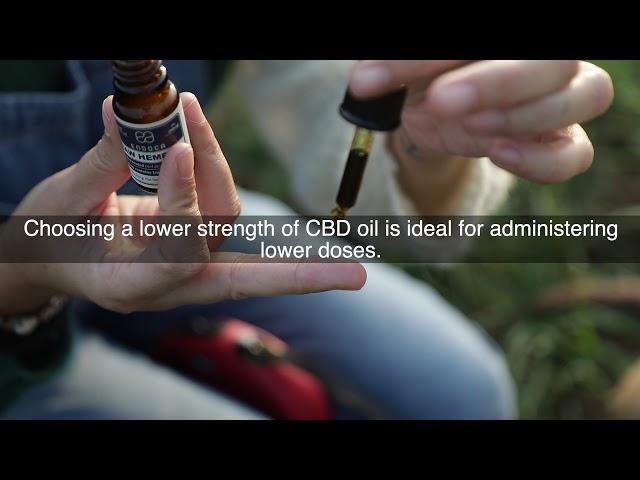 CBD For Pets : About Endoca Full Spectrum Medium Strenght CBD Oil