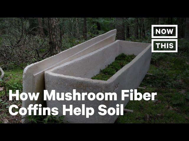 Mushroom Fiber Coffins Are an Eco-Friendly Alternative | NowThis Earth