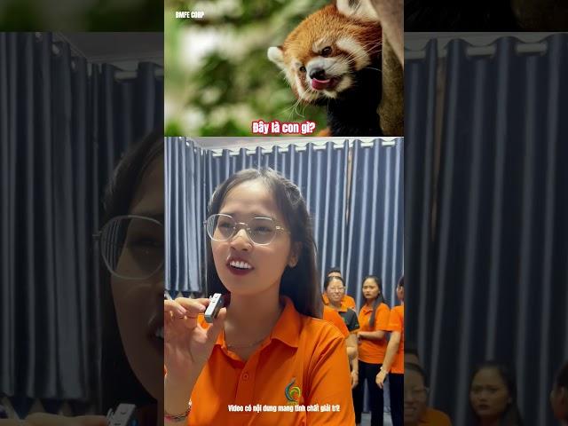 Đây là con gì? Phần 1 | BMFE CORP #bmfe #videofunny