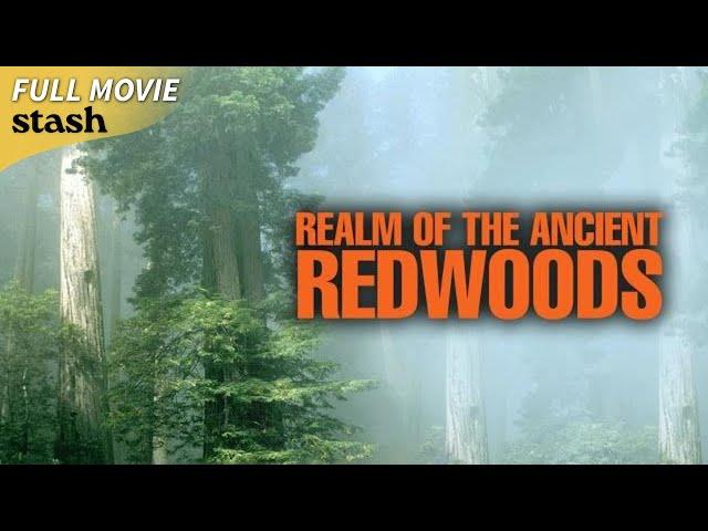 Realm of the Ancient Redwoods | Natural History Documentary | Full Movie