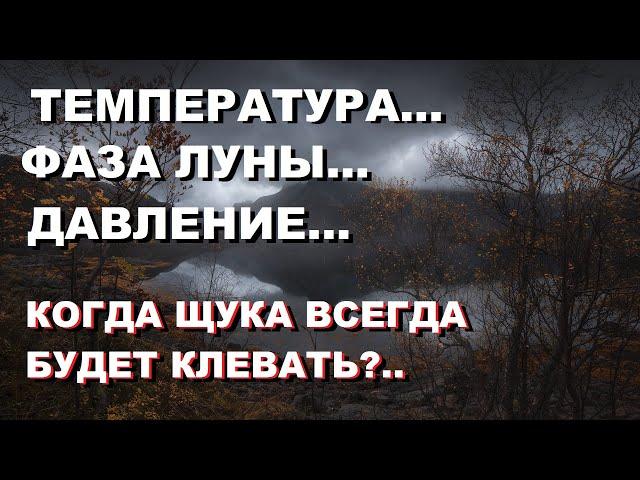 Щука осенью, 5 секретов... Узнайте Когда Щука Всегда Будет Клевать… SeMano TV