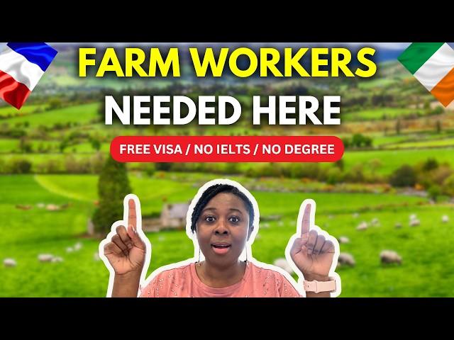 URGENT! Farm WORKERS Needed In IRELAND | Top 4 Places to Apply | No IELTS