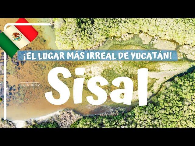 SISAL, UN VERDADERO PARAISO EN MÉXICO! Naturaleza ESPECTACULAR!!! - Yucatán #8 Luisito viajero